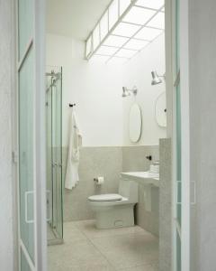 ein Bad mit einem WC, einem Waschbecken und einem Spiegel in der Unterkunft Casa Pani in Mexiko-Stadt