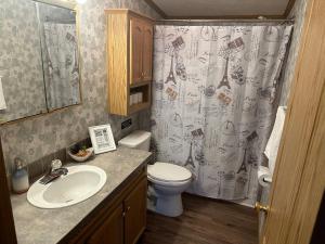 a bathroom with a sink and a toilet and a shower curtain at Spacious Cozy Getaway ! King Bed, Game Room, Out Door Patio in Cairo +25 photos