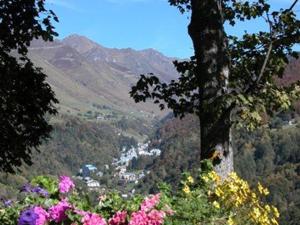 - une vue sur une vallée avec un arbre et des fleurs dans l'établissement Studio 4 pers à Barèges avec ascenseur - FR-1-403-41, à Barèges 3 autres photos