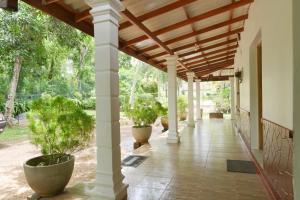 une terrasse couverte avec des plantes en pot et un plafond en bois dans l'établissement Venus Resorts, à Danwilana