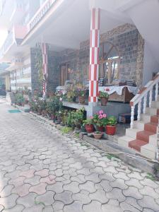 a building with potted plants on the side of a street at Sharon Home Stay in Madikeri