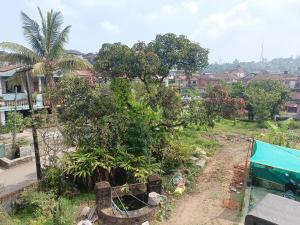 a view of a garden with trees and buildings at Sharon Home Stay in Madikeri