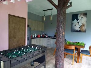eine Küche mit einem Baum in der Mitte in der Unterkunft Cabaña Nala de lujo para parejas in Mazamitla