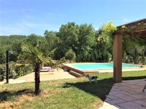 un chat debout dans l'herbe à côté d'une piscine dans l'établissement Maison Salavas, 4 pièces, 6 personnes - FR-1-382-38, à Salavas