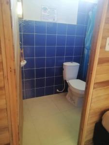 a bathroom with a toilet and a blue tiled wall at tayrona breeze in Santa Marta
