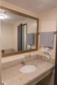 a bathroom with a sink and a large mirror at 2 bedroom at Bristle Ridge in Baguio