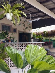 a patio with plants in front of a bar at The Cocoon in Phumĭ Chroŭy Svay