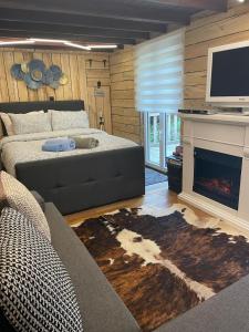 a living room with a couch and a fireplace at Lalas'house in Philippeville