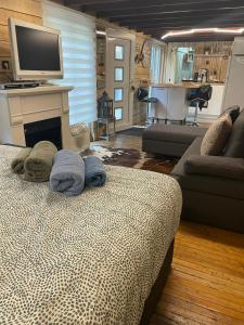 a living room with a bed with a tv on top at Lalas'house in Philippeville