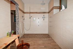 La salle de bains est pourvue d'une douche et d'un lavabo. dans l'établissement Das ALPSPITZ, à Biberwier