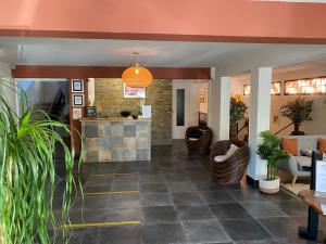 Vstupní hala nebo recepce v ubytování Hôtel le Grillon