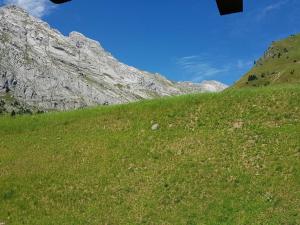 a green grassy hill with a mountain in the background at Appartement Le Grand-Bornand, 1 pièce, 4 personnes - FR-1-241-170 in Le Grand-Bornand