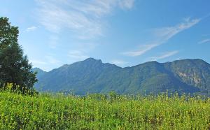 ein Grasfeld mit Bergen im Hintergrund in der Unterkunft Boardinghouse in Bad Reichenhall