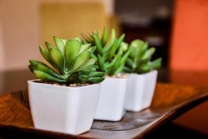 Photo de la galerie de l'établissement Guesthouse Serenity, à Hartbeespoort