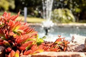 Photo de la galerie de l'établissement Guesthouse Serenity, à Hartbeespoort 35 autres photos