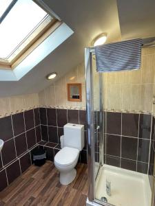 a bathroom with a toilet and a shower at 2 Laurel Court in Ulverston