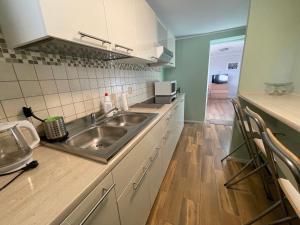 A cozinha ou cozinha compacta de Apartament Pod Lipą