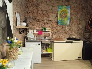 a kitchen with a white refrigerator and a counter at Can Resiu in Serinyà