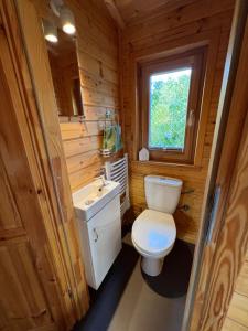 uma casa de banho com um WC, um lavatório e uma janela em Chalet "Waldhauszeit" am See em Mücke