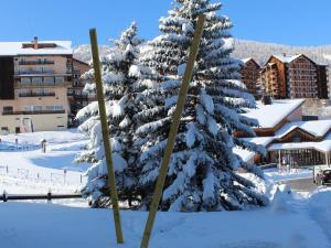 a snow covered pine tree in front of a building at Studio cabine - 4 couchages, à l'entrée de Risoul 1850, proche commerces et navette gratuite - FR-1-330-176 in Risoul