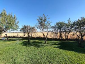Zdjęcie z galerii obiektu Chalet de Tony Verde en plena naturaleza w mieście Adanero