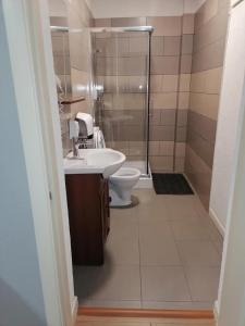 a bathroom with a toilet and a sink and a shower at Provincial in Vişeu de Jos