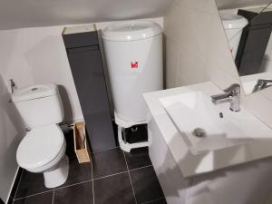 a bathroom with a white toilet and a sink at Studio sous les toits proche Paris et Versailles in Chaville