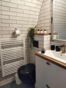 a bathroom with a black toilet and a sink at Boti Hill Natural in Tihany