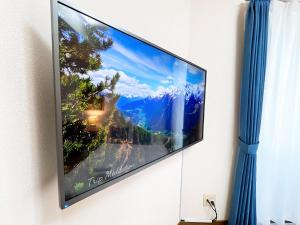 TV a/nebo společenská místnost v ubytování PINE TREE HOTEL