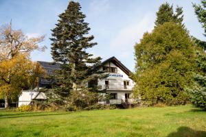 a house on a hill with a tree in the foreground at Villa Nordhang in Winterberg +162 photos