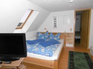 a bedroom with a bed with blue pillows and a television at Rügen Fewo 38 in Dreschvitz