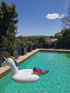 une piscine avec un cygne gonflable dans l'eau dans l'établissement Rare Find! 5-Bedroom Home with Pool and Pool Table, à Muswellbrook