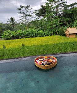 a small boat in the water next to a field at Pinggala Villa Ubud in Gianyar