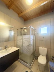 a bathroom with a shower and a toilet and a sink at Villa Corfou in Corfu