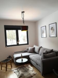 - un salon avec un canapé et une table dans l'établissement Apartman Sihrovski - Vila Pekovic Blue Zlatibor, à Zlatibor