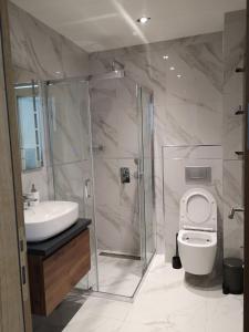 La salle de bains est pourvue d'une douche, de toilettes et d'un lavabo. dans l'établissement Apartman Sihrovski - Vila Pekovic Blue Zlatibor, à Zlatibor