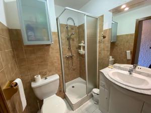a bathroom with a shower and a toilet and a sink at Appartement Le Grand-Bornand, 1 pièce, 4 personnes - FR-1-241-141 in Le Grand-Bornand