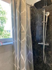 y baño con ducha y cortina de ducha. en Joli studio orangerie en Estrasburgo