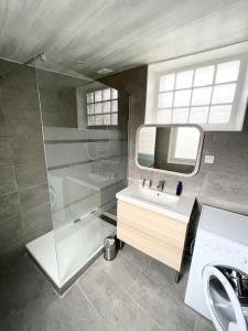 bagno con doccia, lavandino e lavatrice di F2 calme, Château, Grand Parquet, Fôret ad Avon