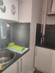 una pequeña cocina con fregadero y encimera en Studio pour Déplacements Professionnels- étudiant, en Nevers