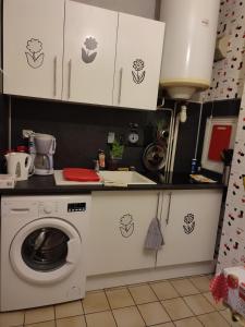 ヌヴェールにあるStudio tout confort- wifi- Gare-Résidence TRAIN BLEU N 2のキッチン(洗濯機、シンク付)