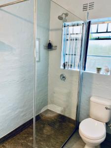 a bathroom with a shower and a toilet at Bauhinia Beach Loft in Wilderness