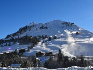 ル・グラン・ボルナンにあるAppartement Le Grand-Bornand, 2 pièces, 6 personnes - FR-1-241-18の雪山