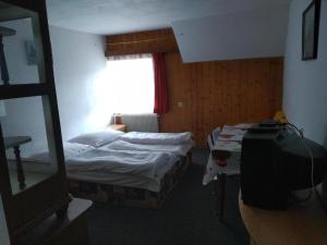 um pequeno quarto com 2 camas e um espelho em Třilužkovy pokoj Standart ID pokoje 4917188 em Rokytnice nad Jizerou