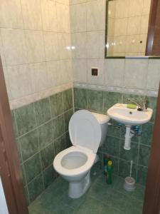 een badkamer met een toilet en een wastafel bij Třilužkovy pokoj Standart ID pokoje 4917188 in Rokytnice nad Jizerou