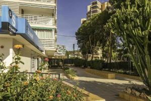 アリカンテにあるBalcon de Ulises Alicante Playaの都市の植物・建物が並ぶ空き道