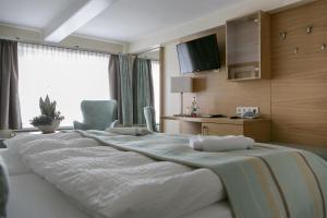 TV a/nebo společenská místnost v ubytování Hotel Neuwarft Altbau