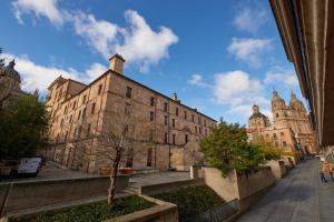 um grande edifício de pedra com uma árvore em frente em Alojamiento centro historico Catedral em Salamanca