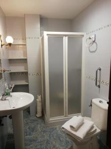 W łazience znajduje się prysznic, toaleta i umywalka. w obiekcie Aptos Estación Norte y Sur FAMORCAS w mieście Almodóvar del Río