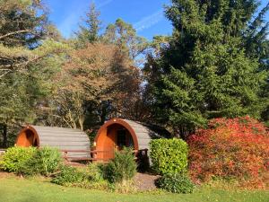 a couple of igloo homes in a garden at Glamping Hut - By The Way Campsite in Tyndrum